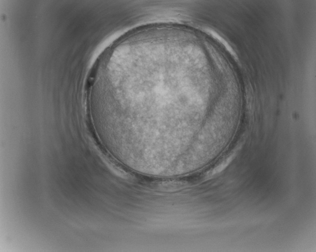 X0000079341077200612151902