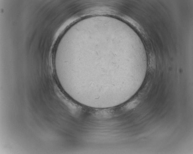 X0000079341078200612151902