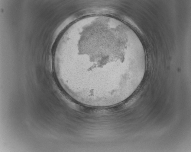 X0000079341079200612151902