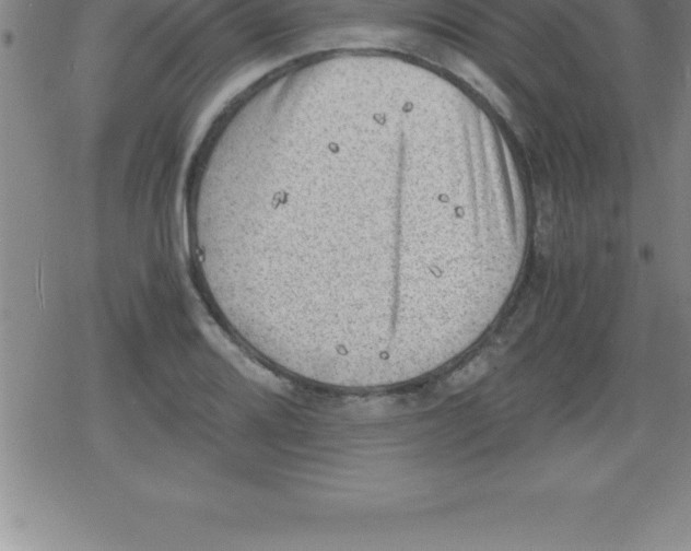 X0000079341080200612151902