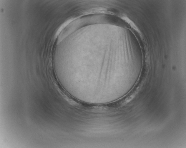 X0000079341081200612151902