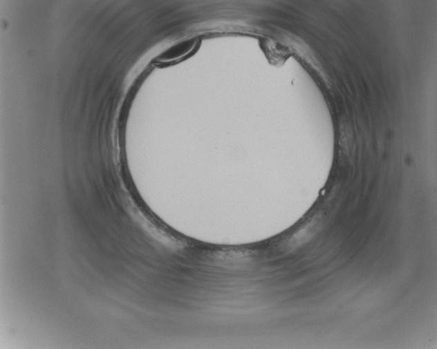 X0000079341082200612151902