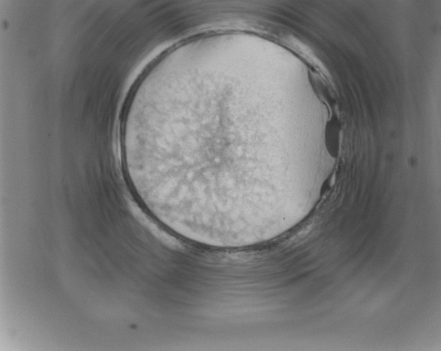 X0000079341084200612151902