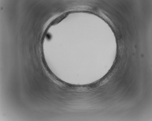 X0000079341085200612151902