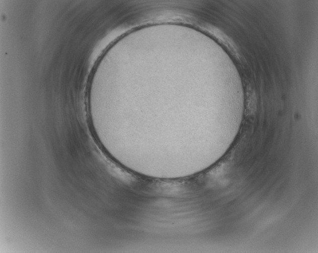 X0000079341086200612151902