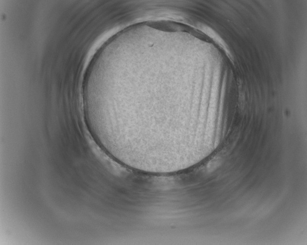 X0000079341088200612151902