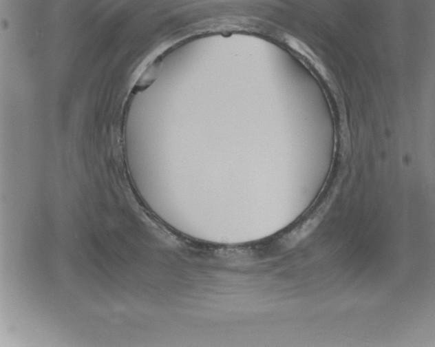 X0000079341089200612151902