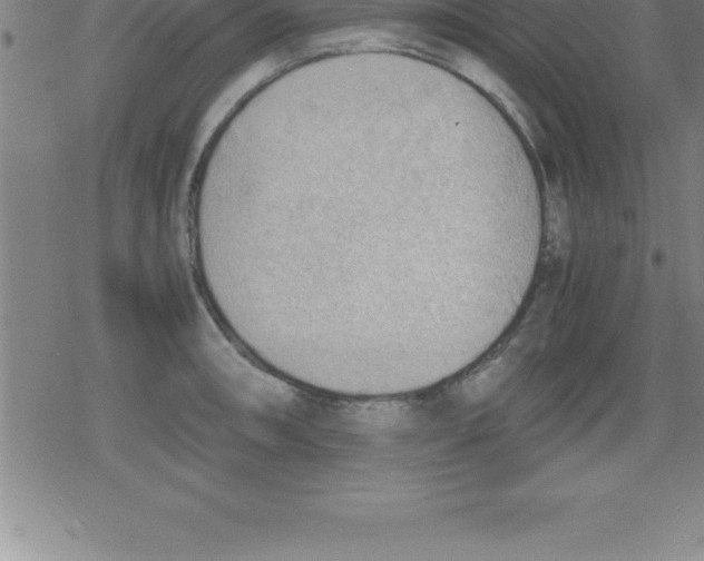 X0000079341090200612151902