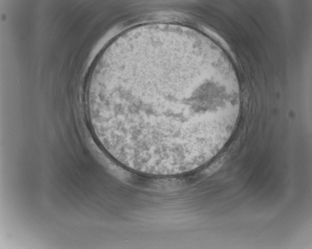 X0000079341091200612151902