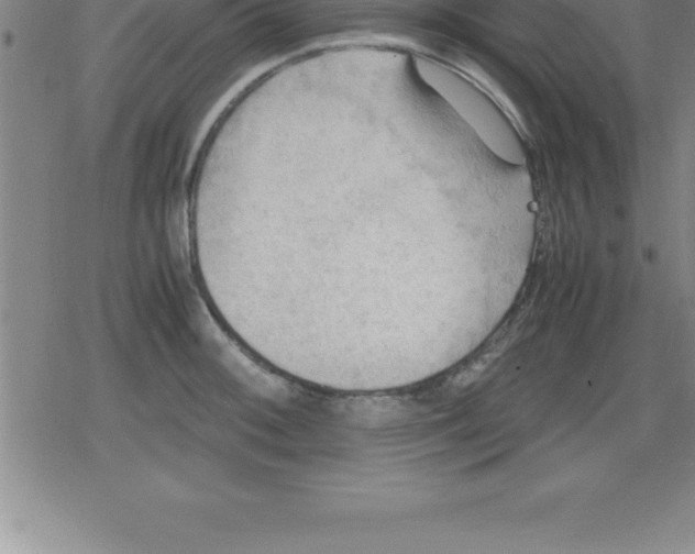 X0000079341092200612151902