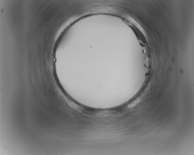 X0000079341093200612151901