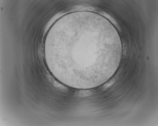 X0000079341094200612151901