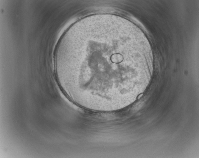 X0000079341095200612151901