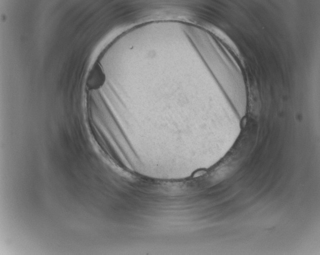 X0000079341096200612151901