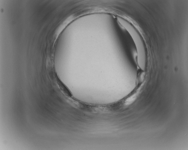 X0000079341097200612151901