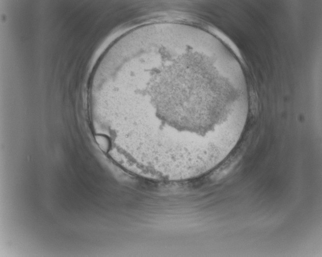 X0000079341099200612151901