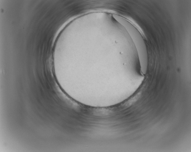 X0000079341100200612151901