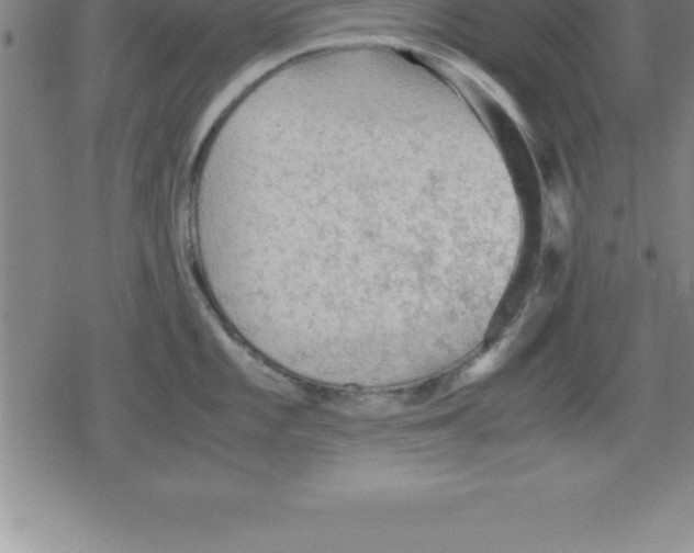 X0000079341101200612151901