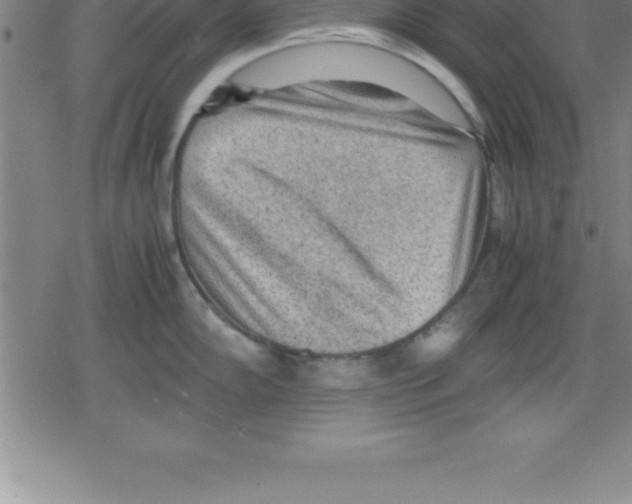 X0000079341102200612151901