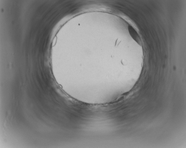 X0000079341104200612151901