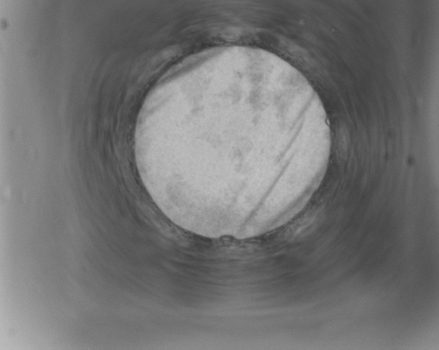 X0000079341105200612151901