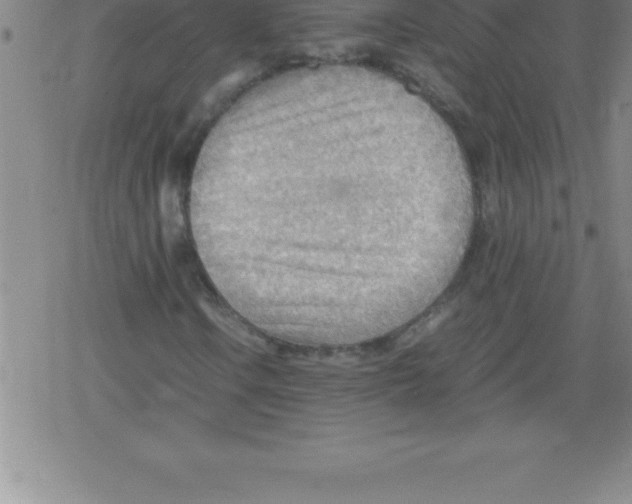 X0000079341106200612151901