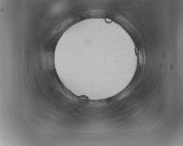 X0000079341107200612151901