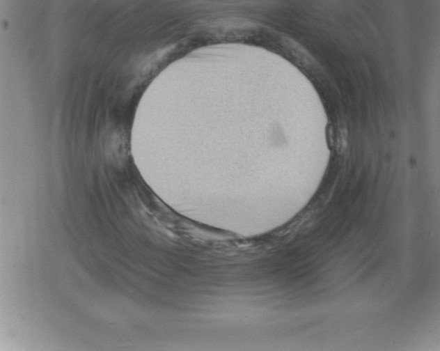 X0000079341108200612151901