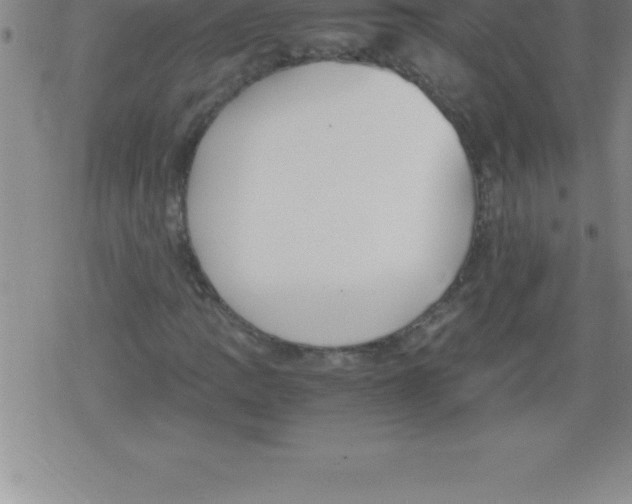 X0000079341109200612151901