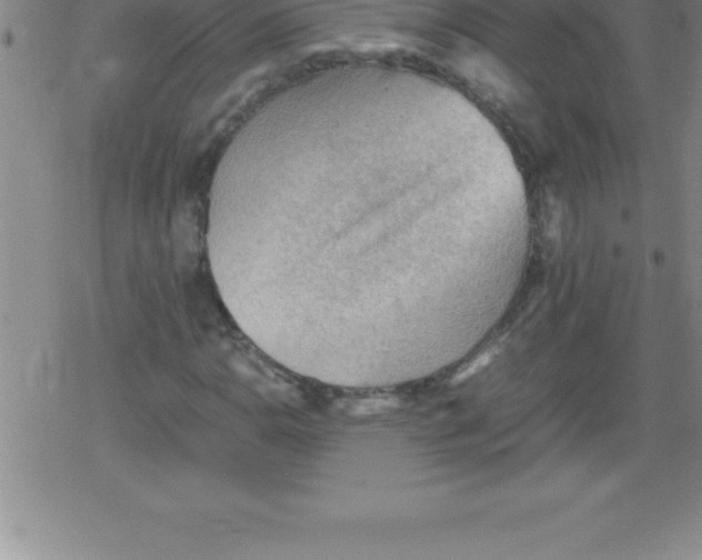 X0000079341110200612151901