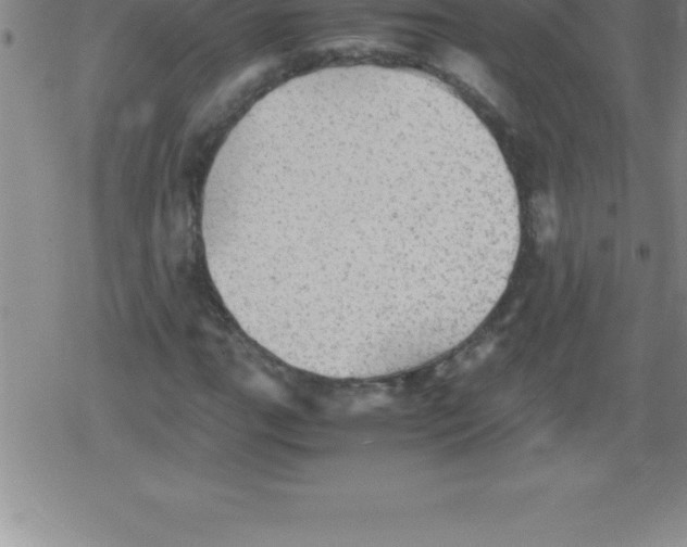 X0000079341111200612151901