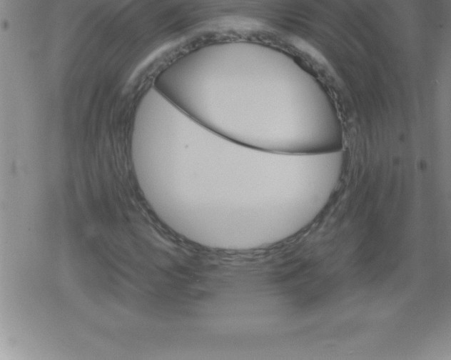 X0000079341112200612151901