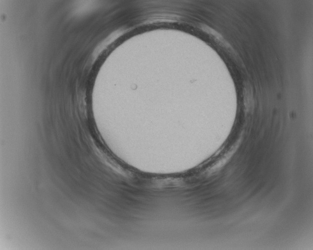 X0000079341113200612151901