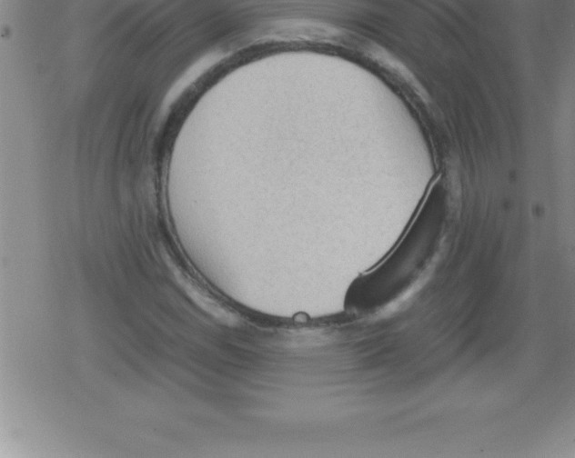 X0000079341114200612151901