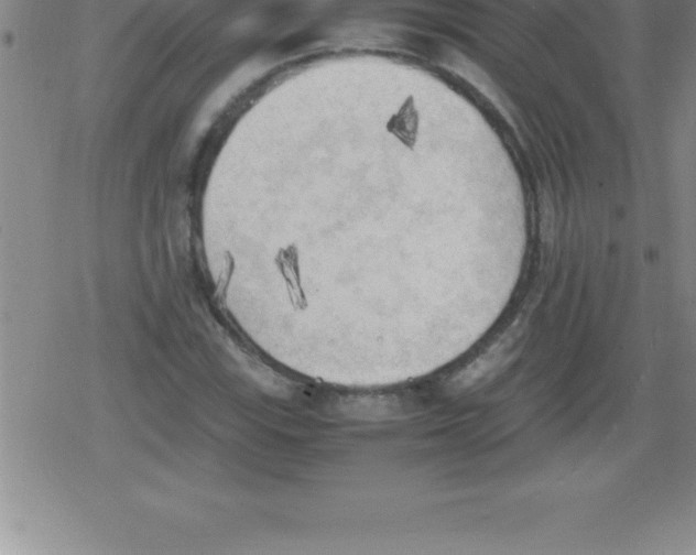 X0000079341115200612151901