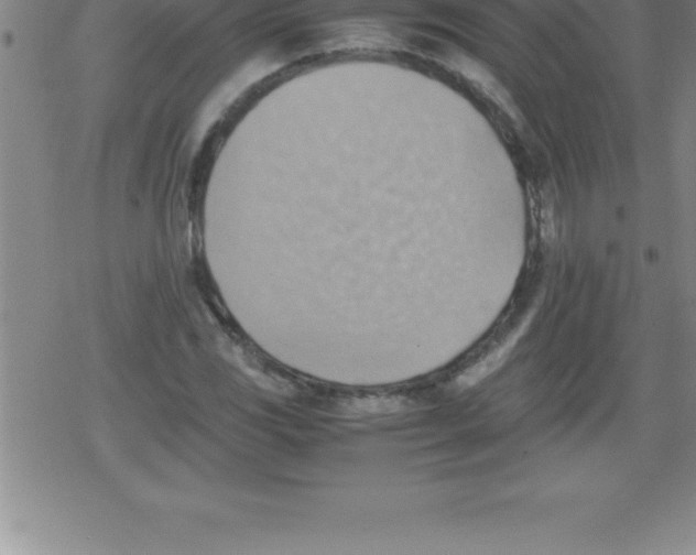 X0000079341117200612151901