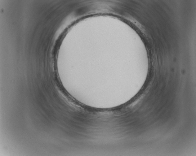 X0000079341118200612151901