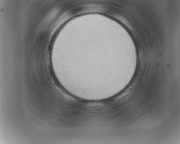 X0000079341119200612151901