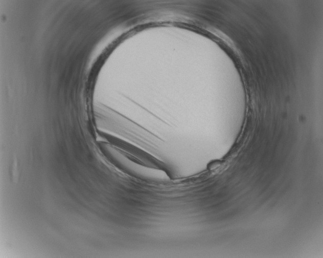 X0000079341120200612151901