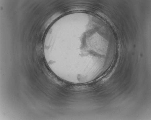 X0000079341121200612151901