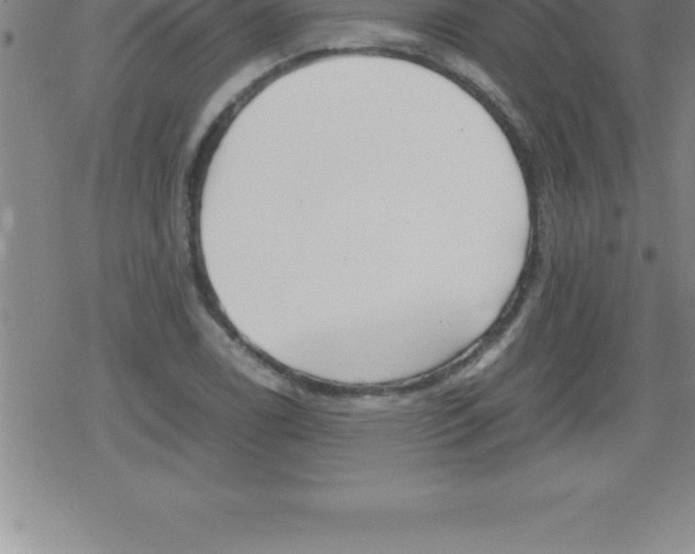 X0000079341122200612151901