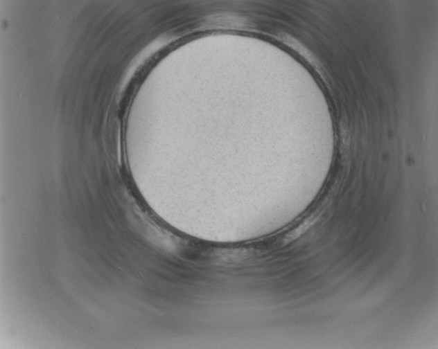 X0000079341123200612151901