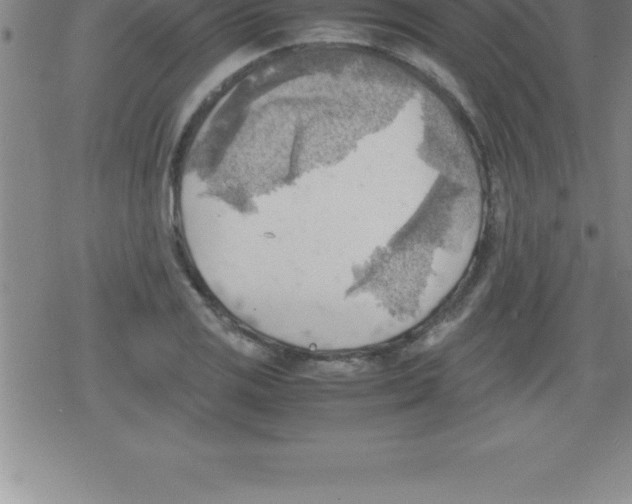 X0000079341125200612151901