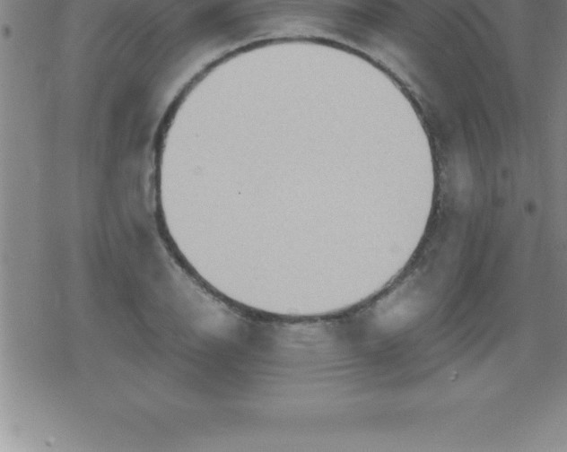 X0000079341126200612151901