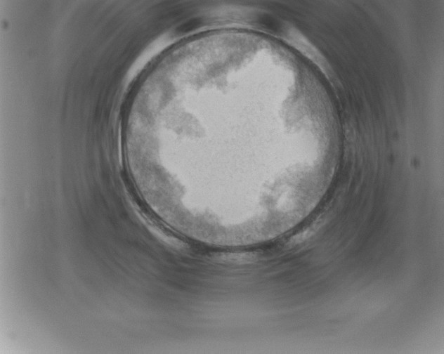 X0000079341127200612151901