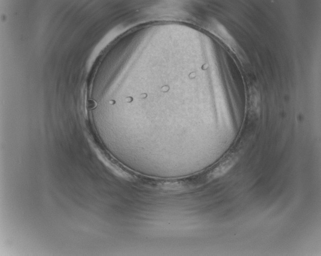 X0000079341128200612151901