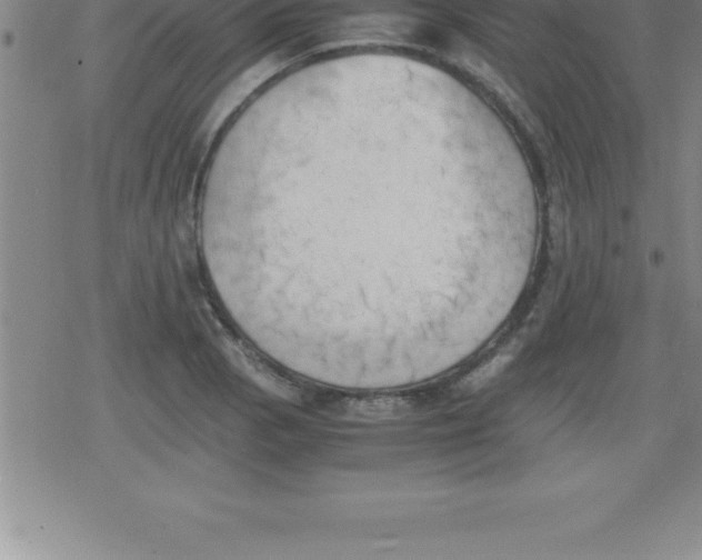 X0000079341129200612151901