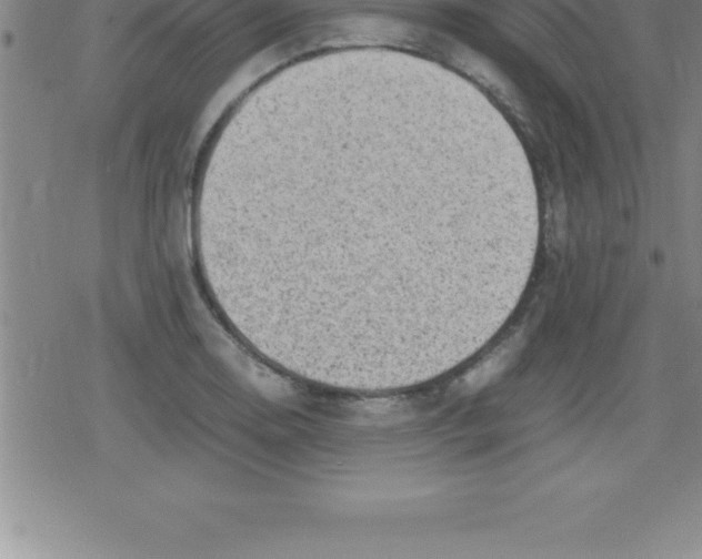 X0000079341130200612151901