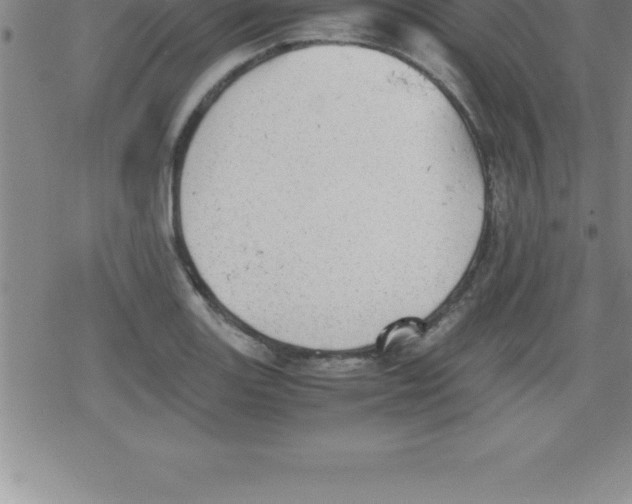 X0000079341131200612151901