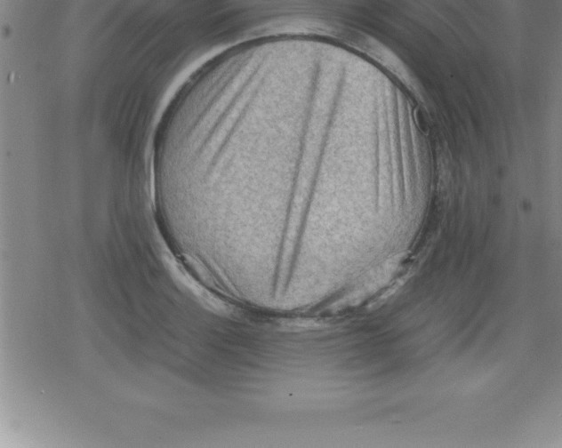 X0000079341132200612151901